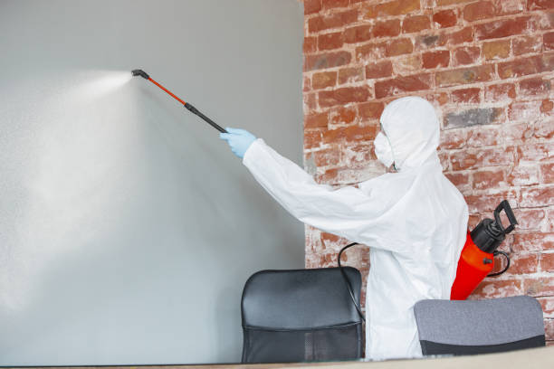 Best Mold Odor Removal Services  in Smiths Station, AL