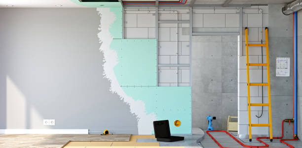 Best Basement Mold Removal  in Smiths Station, AL