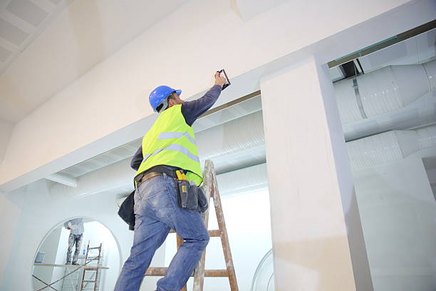 Best Mold Damage Restoration  in Smiths Station, AL